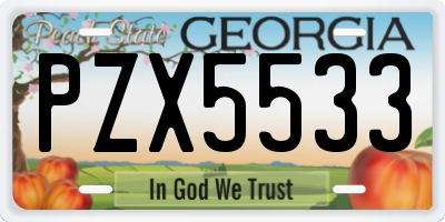 GA license plate PZX5533