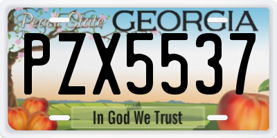 GA license plate PZX5537