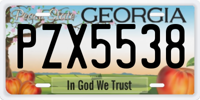 GA license plate PZX5538