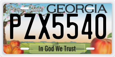 GA license plate PZX5540