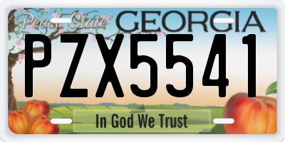 GA license plate PZX5541