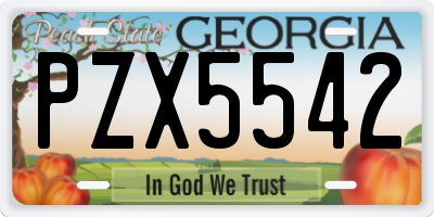 GA license plate PZX5542