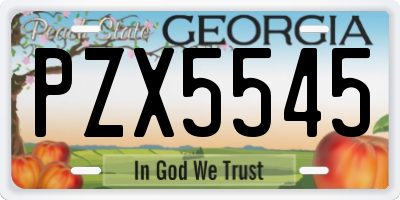 GA license plate PZX5545