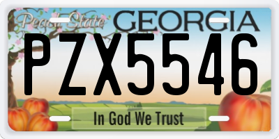 GA license plate PZX5546
