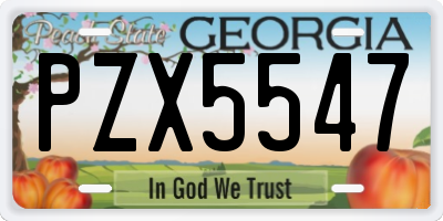 GA license plate PZX5547