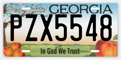 GA license plate PZX5548