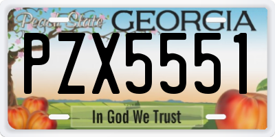 GA license plate PZX5551