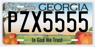 GA license plate PZX5555