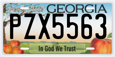 GA license plate PZX5563