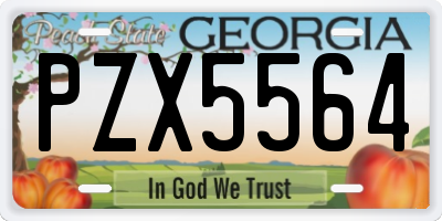 GA license plate PZX5564