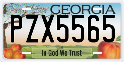 GA license plate PZX5565