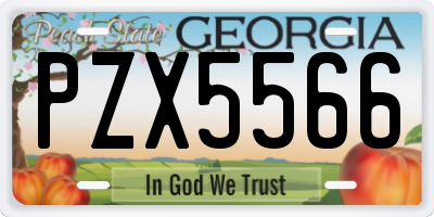 GA license plate PZX5566
