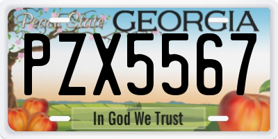 GA license plate PZX5567