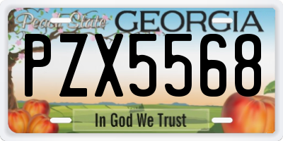 GA license plate PZX5568