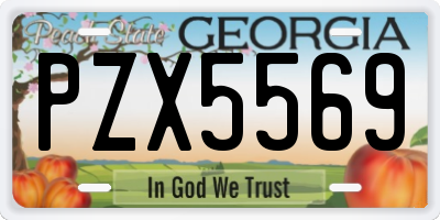 GA license plate PZX5569