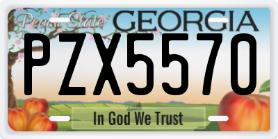GA license plate PZX5570