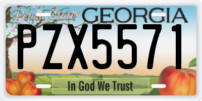 GA license plate PZX5571