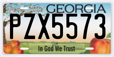GA license plate PZX5573