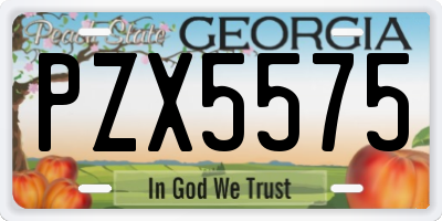 GA license plate PZX5575