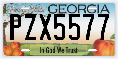 GA license plate PZX5577