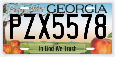 GA license plate PZX5578