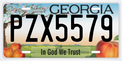 GA license plate PZX5579