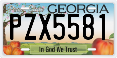 GA license plate PZX5581
