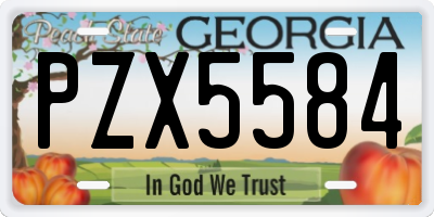 GA license plate PZX5584