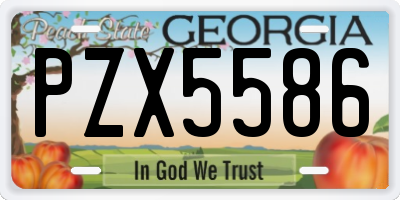 GA license plate PZX5586