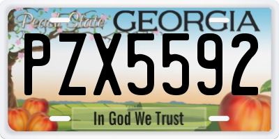 GA license plate PZX5592