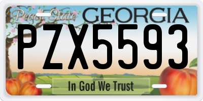 GA license plate PZX5593