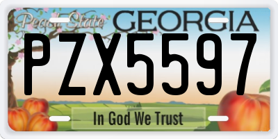 GA license plate PZX5597