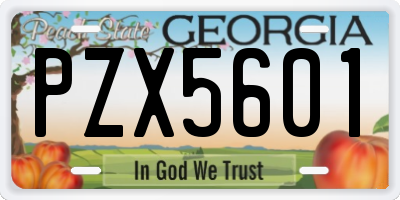 GA license plate PZX5601
