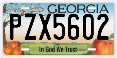 GA license plate PZX5602