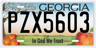 GA license plate PZX5603