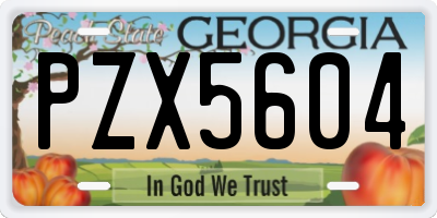 GA license plate PZX5604