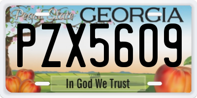 GA license plate PZX5609