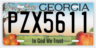 GA license plate PZX5611