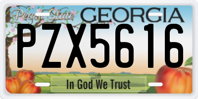 GA license plate PZX5616