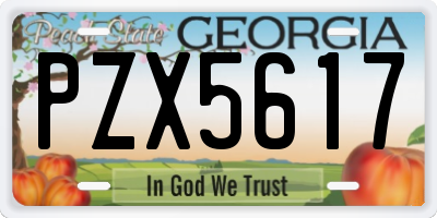 GA license plate PZX5617