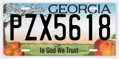 GA license plate PZX5618