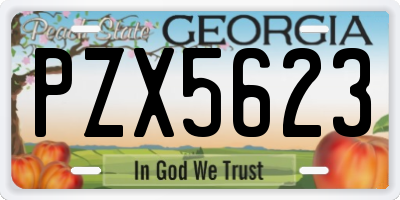 GA license plate PZX5623