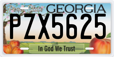 GA license plate PZX5625
