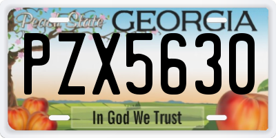 GA license plate PZX5630