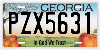 GA license plate PZX5631