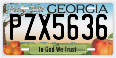 GA license plate PZX5636