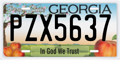 GA license plate PZX5637