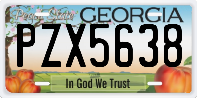 GA license plate PZX5638
