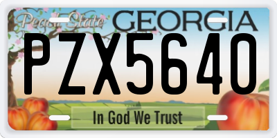 GA license plate PZX5640