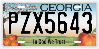 GA license plate PZX5643